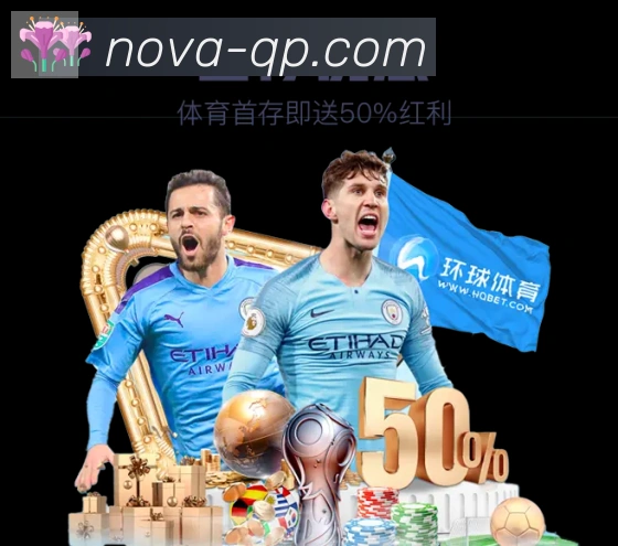 登录器
